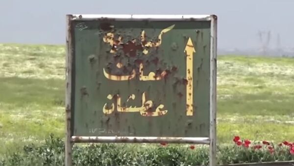 视频：叙军在哈马省北部确立控制权 - 俄罗斯卫星通讯社