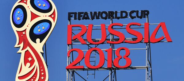 俄罗斯2018年足球世界杯 - 俄罗斯卫星通讯社