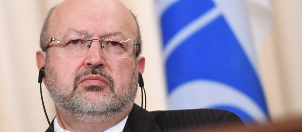 歐安組織堅持追究頓巴斯汽車爆炸事件責任 - 俄羅斯衛星通訊社