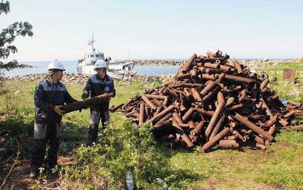 俄罗斯“戈格兰岛”地理协会考察志愿者们正在芬兰湾名为“Bolshoy Tyuters”的岛上收集垃圾 - 俄罗斯卫星通讯社