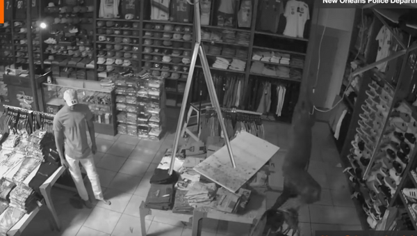 视频：倒霉小偷进店容易出店难 - 俄罗斯卫星通讯社