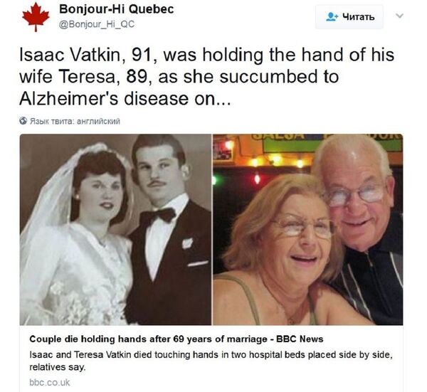 美國芝加哥市郊的瓦特金（Vatkin）夫婦 - 俄羅斯衛星通訊社