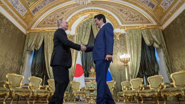 Президент РФ Владимир Путин и премьер-министр Японии Синдзо Абэ (справа) во время встречи - 俄罗斯卫星通讯社