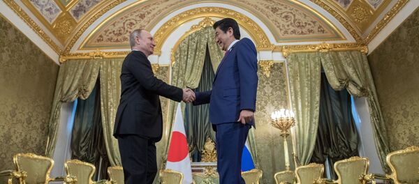 安倍5月拟与普京讨论日俄和约及安全合作 - 俄罗斯卫星通讯社