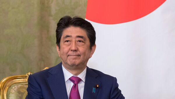 日本首相安倍晉三將出席2018年聖彼得堡國際經濟論壇 - 俄羅斯衛星通訊社