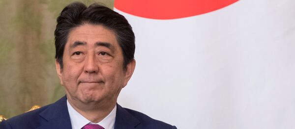 日本首相希望於2020年修改憲法並保留和平原則 日本首相希望於2020年修改憲法並保留和平原則 - 俄羅斯衛星通訊社