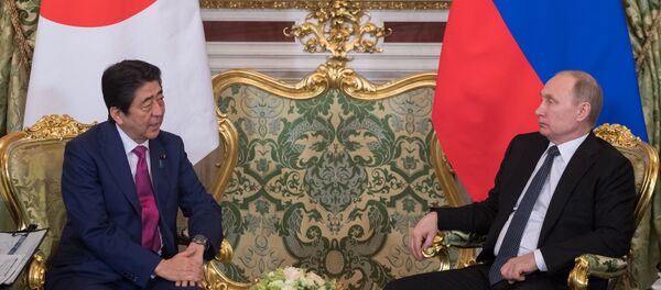 普京會見安倍晉三 普京會見安倍晉三 - 俄羅斯衛星通訊社