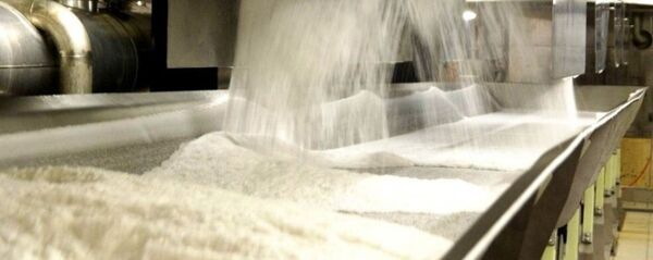 白俄羅斯計劃向中國出口食糖 - 俄羅斯衛星通訊社