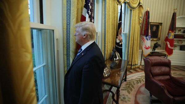 U.S. President Donald Trump looks out a window of the Oval Office - 俄羅斯衛星通訊社