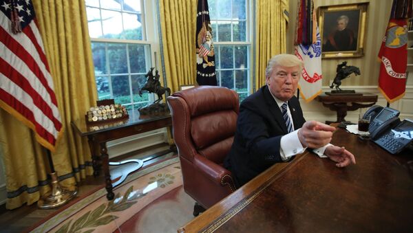 U.S. President Donald Trump speaks during an interview with Reuters in the Oval Office - 俄羅斯衛星通訊社