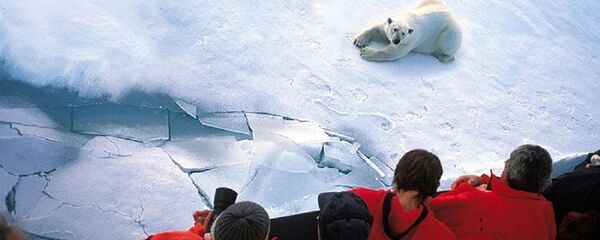 白熊 - 俄罗斯卫星通讯社