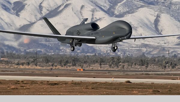 американские беспилотные самолеты-шпионы Global Hawk - 俄罗斯卫星通讯社