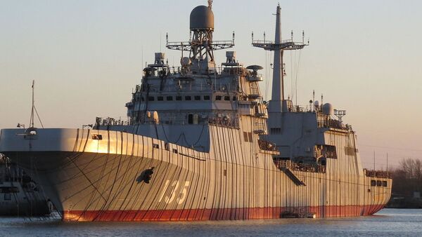 11711型大型登陆舰 - 俄罗斯卫星通讯社