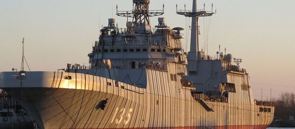 11711型大型登陆舰 - 俄罗斯卫星通讯社