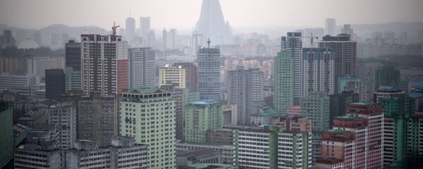 俄驻朝大使：俄愿在取消制裁后参与朝鲜电力系统现代化更新工作 - 俄罗斯卫星通讯社