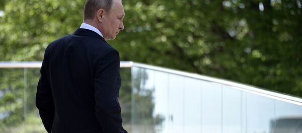 普京：将顿巴斯与乌克兰分离的是乌方的封锁 - 俄罗斯卫星通讯社