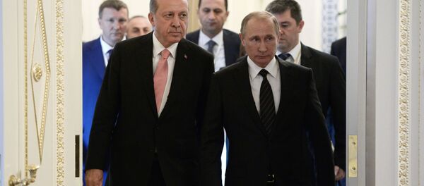 俄土两国领导人将详细讨论双边军事技术合作问题 - 俄罗斯卫星通讯社