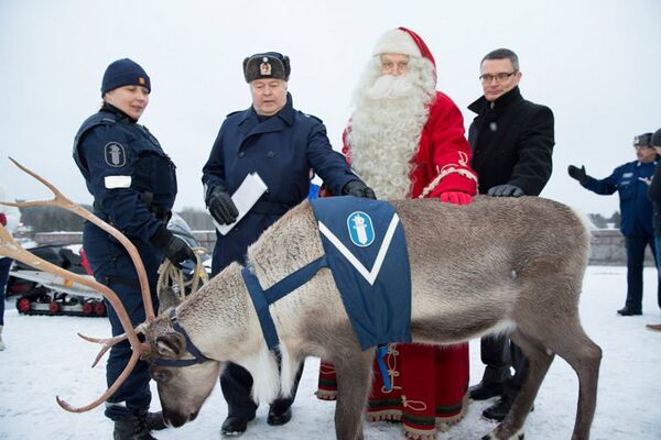 芬蘭拉普蘭警局的北極馴鹿。 - 俄羅斯衛星通訊社