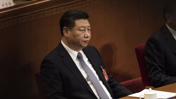 Chinese President Xi Jinping attends the second plenary session of the National People's Congress - 俄羅斯衛星通訊社