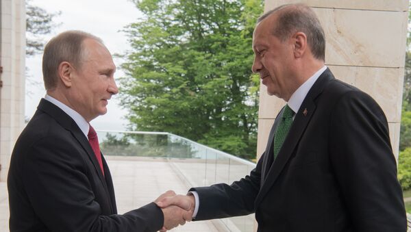普京：俄罗斯和土耳其的关系获得特别地位 并得到完全恢复 - 俄罗斯卫星通讯社