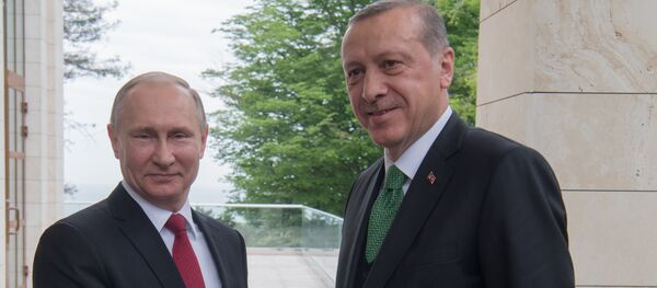 埃爾多安：俄土聯合措施能夠影響中東局勢 - 俄羅斯衛星通訊社