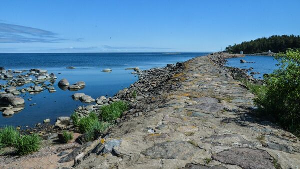 Вид побережья Финского залива на северной части острова Гогланд - 俄罗斯卫星通讯社