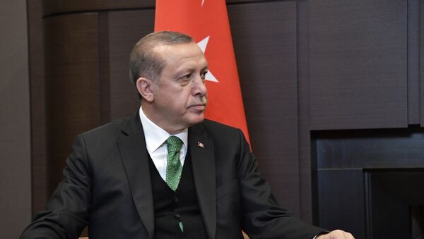 土耳其执政党提名埃尔多安为总统候选人 - 俄罗斯卫星通讯社