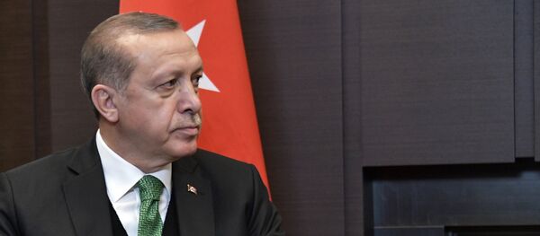 埃尔多安 - 俄罗斯卫星通讯社