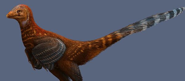 文在寅不排除會見金正恩的可能性 並呼籲不要急於部署薩德系統 - 俄羅斯衛星通訊社