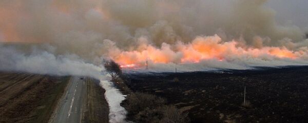 俄远东森林火灾一昼夜毁林1.7万多公顷 - 俄罗斯卫星通讯社