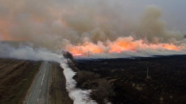俄大部分地区本周面临极端森林火灾危险 - 俄罗斯卫星通讯社