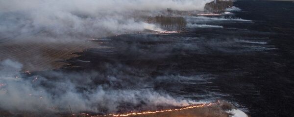 俄紧急情况部长：将加强滨海边疆区防火部门部署 - 俄罗斯卫星通讯社
