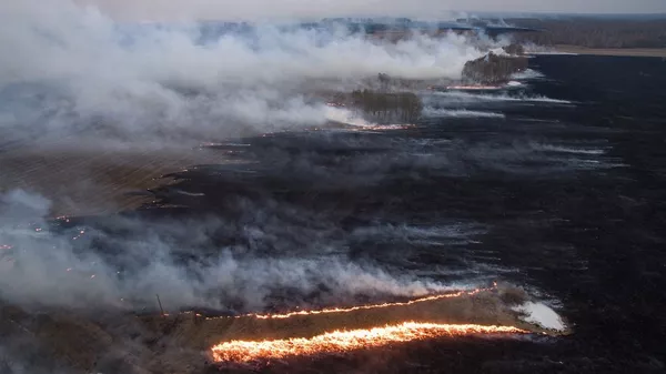 俄林业署：远东地区森林火灾全部被扑灭