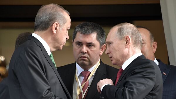 土耳其總統埃爾多安與俄羅斯總統普京 - 俄羅斯衛星通訊社