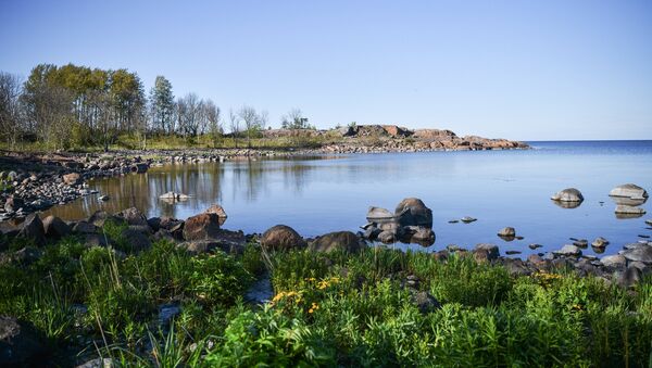 Остров Гогланд в Финском заливе - 俄羅斯衛星通訊社