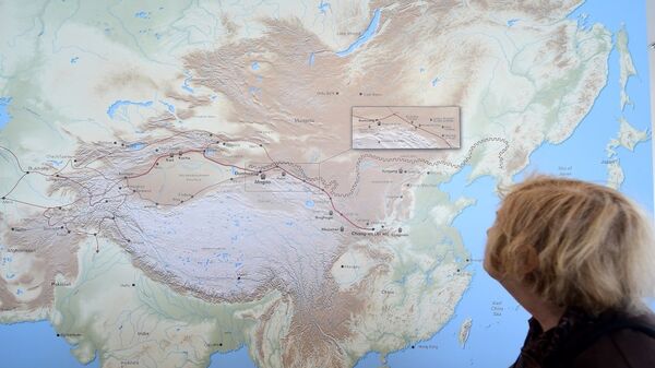 專家：俄羅斯對於中國絲路項目實施抱有的期望尚未得到滿足 - 俄羅斯衛星通訊社