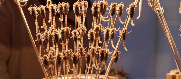 蝎子 - 俄罗斯卫星通讯社