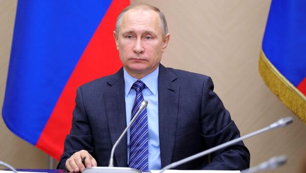Президент РФ Владимир Путин проводит совещание по экономическим вопросам - 俄羅斯衛星通訊社