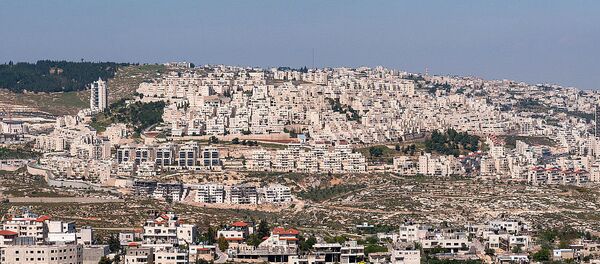 以色列警方在約旦河西岸逮捕兩名意大利塗鴉藝術家 以色列警方在約旦河西岸逮捕兩名意大利塗鴉藝術家 - 俄羅斯衛星通訊社