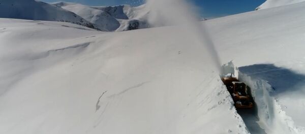 清雪也可以這麼美! 清雪也可以這麼美! - 俄羅斯衛星通訊社