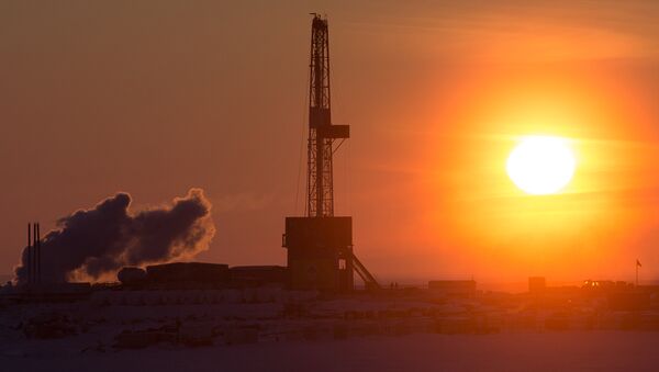 俄能源部长：有关石油开采减产的维也纳协议可能延期半年或更长 - 俄罗斯卫星通讯社