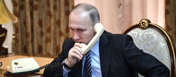 普京向卡塔尔酋长确认并申明莫斯科方面立场：赞同使用对话方式调节危机 - 俄罗斯卫星通讯社