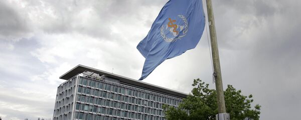 世卫组织总干事将重新考虑任命穆加贝为亲善大使 - 俄罗斯卫星通讯社