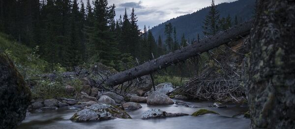 贝加尔湖 - 俄罗斯卫星通讯社