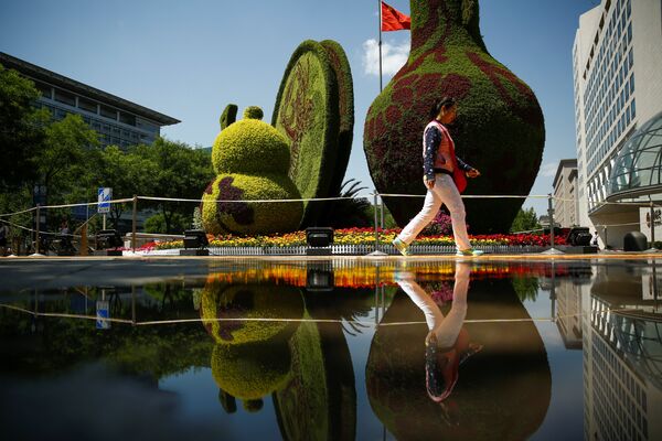 北京 - 俄羅斯衛星通訊社