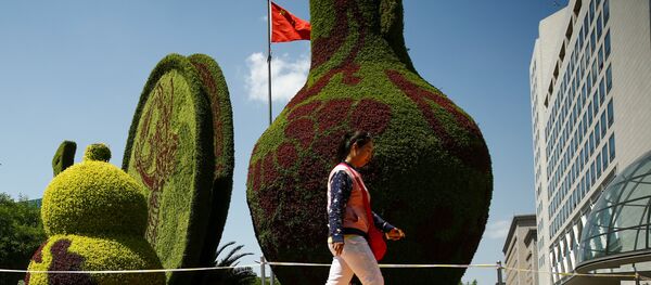 媒体：美方将派代表参加“一带一路”高峰论坛 - 俄罗斯卫星通讯社