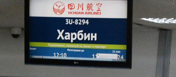 俄符拉迪沃斯托克机场中国方向旅客量6月同比增加44% - 俄罗斯卫星通讯社