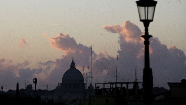 A flock of birds fly over Rome's skyline and the St. Peter's dome at sunset - 俄羅斯衛星通訊社