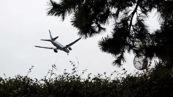 日本全日空航空公司擬開通至莫斯科和符拉迪沃斯托克的定期航班 - 俄羅斯衛星通訊社
