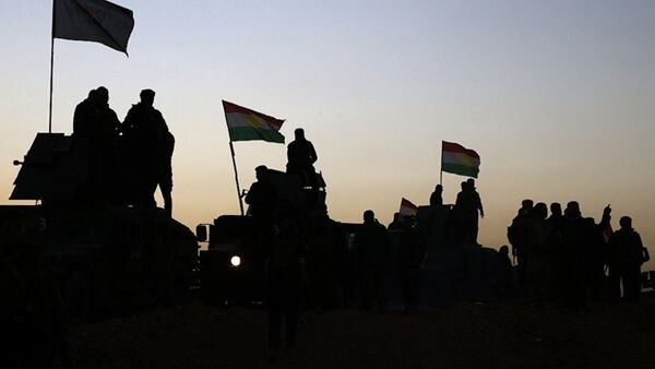 库尔德武装团体 - 俄罗斯卫星通讯社